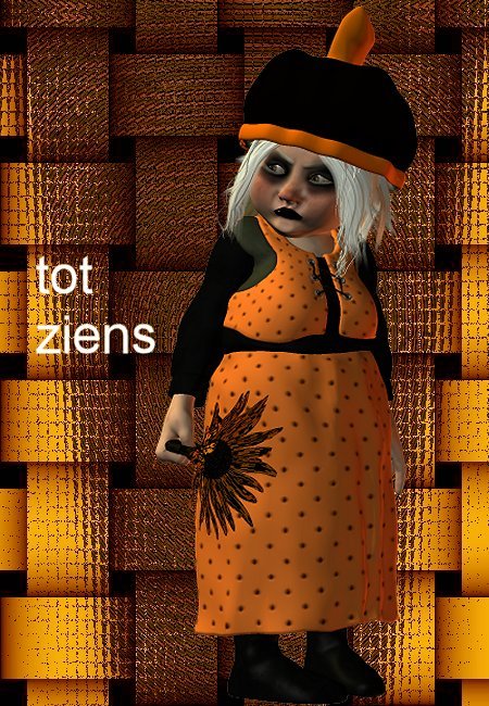 tot ziens.jpg